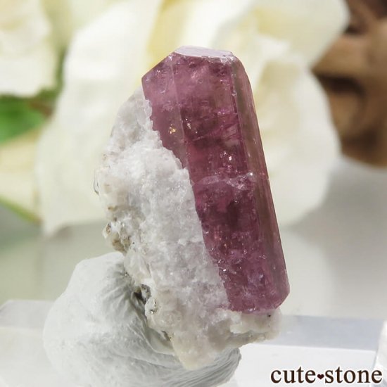 ޥ Fasimena ԥ󥯥ȥޥդ뾽ʸС 2.9gμ̿0 cute stone