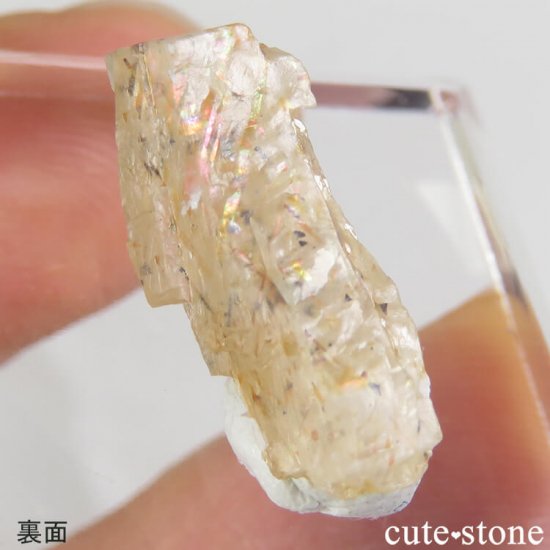 쥤ܡƥ󥹥ȡΥ饤ʸС0.6gμ̿1 cute stone