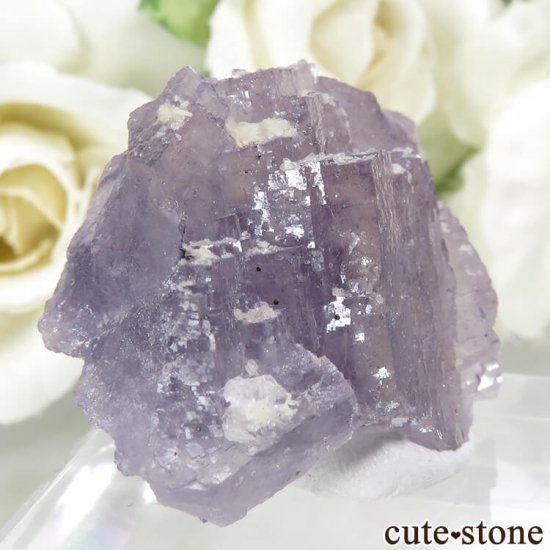 ե Fontsante Mine ѡץե饤Ȥη뾽ʸС18.8gμ̿0 cute stone