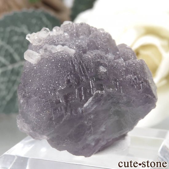 ե Fontsante Mine ѡץߥ꡼֥롼ե饤ȡ륵Ȥη뾽ʸС16.6gμ̿0 cute stone