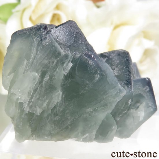 ե Fontsante Mine ꡼֥롼ե饤Ȥη뾽ʸС29.4gμ̿0 cute stone