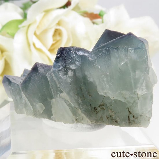 ե Fontsante Mine ꡼֥롼ե饤Ȥη뾽ʸС29.4gμ̿1 cute stone