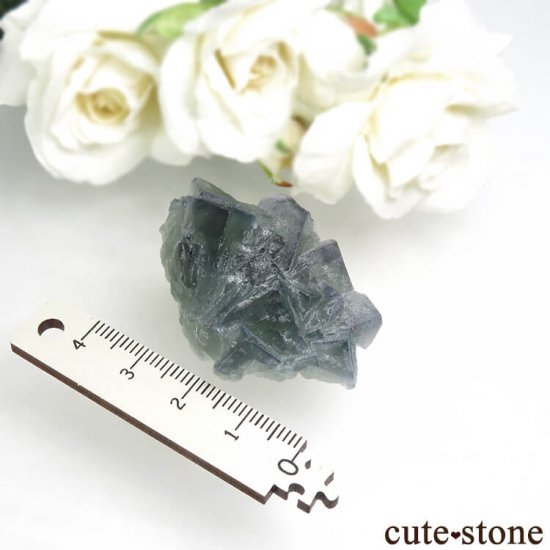 ե Fontsante Mine ꡼֥롼ե饤Ȥη뾽ʸС29.4gμ̿5 cute stone