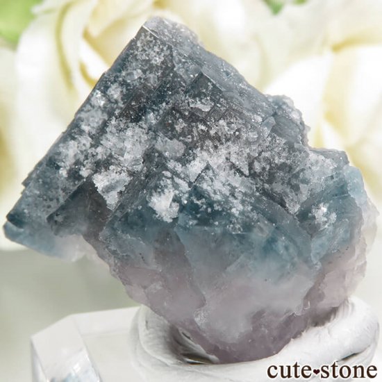 ե Fontsante Mine ֥롼ߥ饤ȥѡץե饤Ȥη뾽ʸС18.9gμ̿0 cute stone