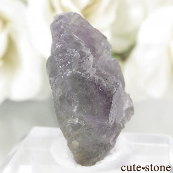 ե Fontsante Mine 饤ȥѡץߥ饤ȥ֥롼꡼ե饤Ȥη뾽ʸС6.6gμ̿0 cute stone