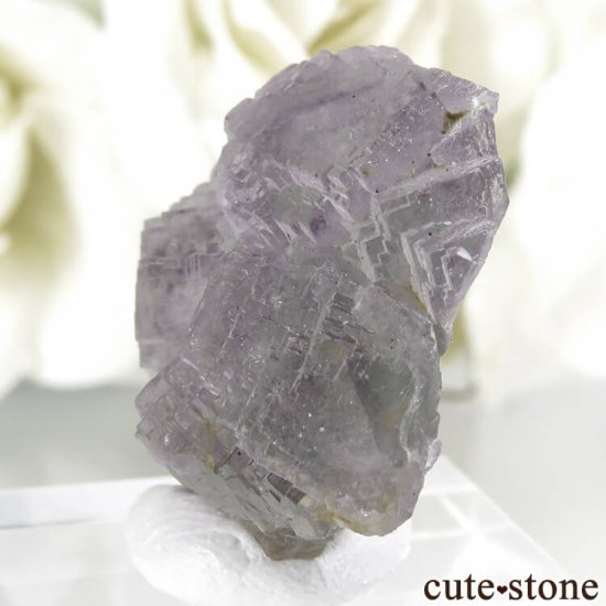 ե Fontsante Mine 饤ȥѡץߥ饤ȥ֥롼꡼ե饤Ȥη뾽ʸС6.6gμ̿2 cute stone