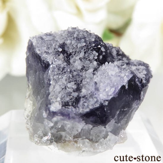 ե Fontsante Mine ѡץߥ꡼ե饤ȡĤη뾽ʸС12.9gμ̿0 cute stone