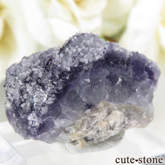 ե Fontsante Mine ѡץߥ꡼ե饤ȡĤη뾽ʸС12.9gμ̿1 cute stone