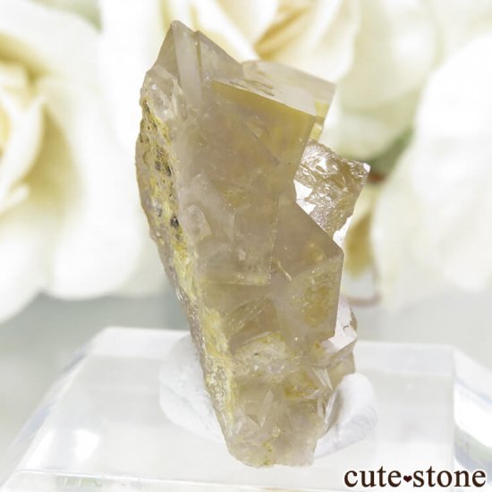 ե Fontsante Mine ե饤Ȥη뾽ʸС7.7gμ̿0 cute stone