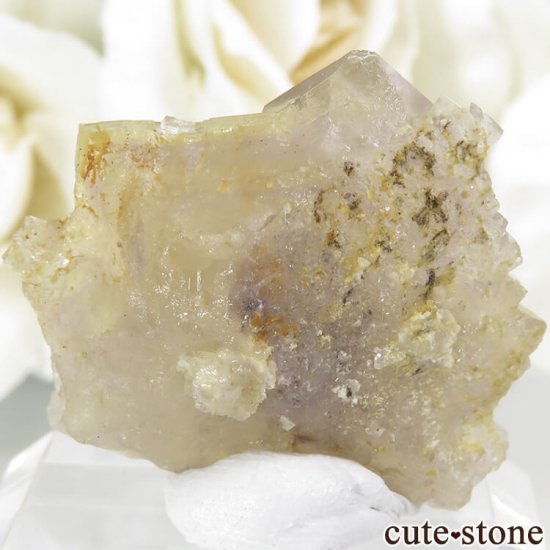 ե Fontsante Mine ե饤Ȥη뾽ʸС7.7gμ̿1 cute stone