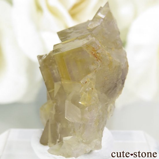 ե Fontsante Mine ե饤Ȥη뾽ʸС7.7gμ̿2 cute stone