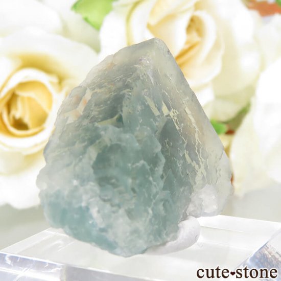 ե Fontsante Mine ߥ֥롼ե饤Ȥη뾽ʸС8.3gμ̿0 cute stone