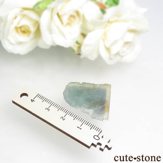 ե Fontsante Mine ߥ֥롼ե饤Ȥη뾽ʸС8.3gμ̿5 cute stone