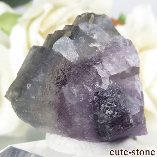 ե Fontsante Mine ѡץߥ֥롼ߥե饤Ȥη뾽ʸС17.1gμ̿1 cute stone