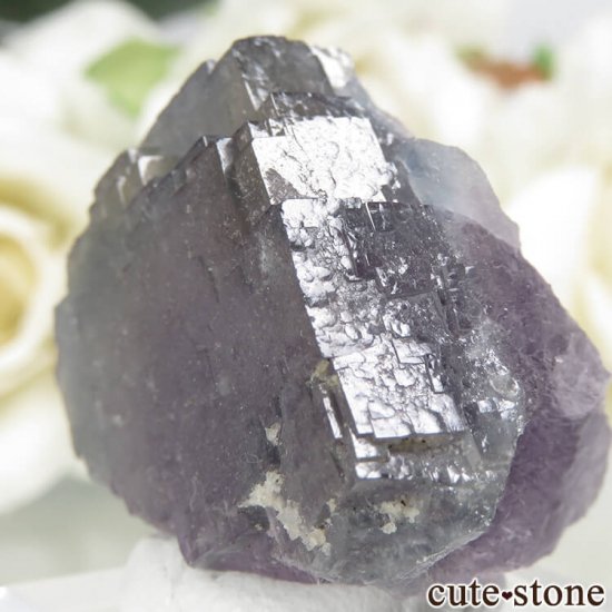 ե Fontsante Mine ѡץߥ֥롼ߥե饤Ȥη뾽ʸС17.1gμ̿2 cute stone