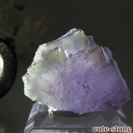 ե Fontsante Mine ѡץߥ֥롼ߥե饤Ȥη뾽ʸС17.1gμ̿5 cute stone