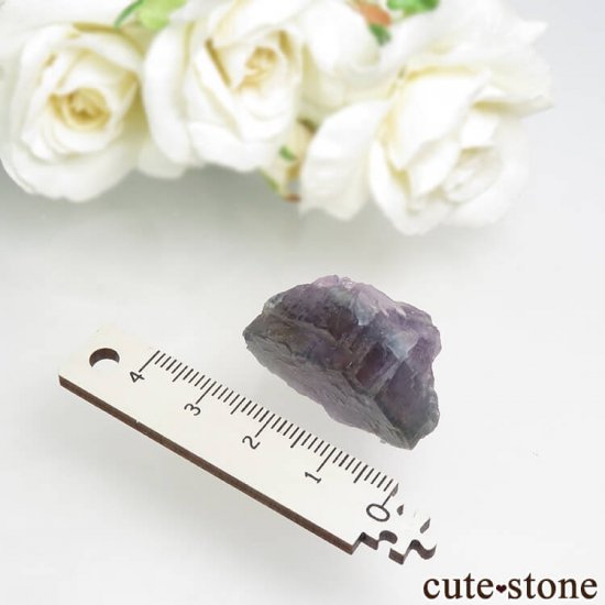 ե Fontsante Mine ѡץߥ֥롼ߥե饤Ȥη뾽ʸС17.1gμ̿6 cute stone