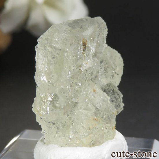 ե Fontsante Mine 饤ȥե饤Ȥη뾽ʸС7.2gμ̿2 cute stone