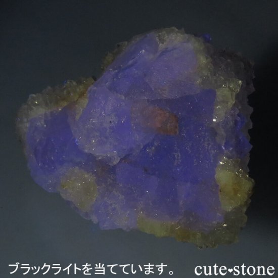 ե Fontsante Mine ĥ饤ȥ꡼ե饤Ȥθ 15.1gμ̿4 cute stone