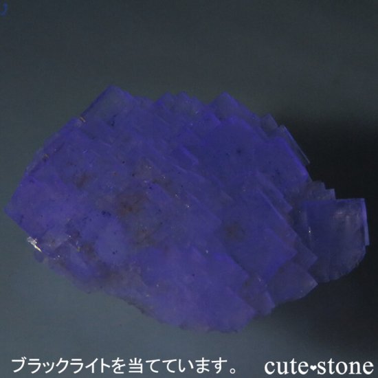 ե Fontsante Mine 饤ȥե饤Ȥη뾽ʸС8.2gμ̿3 cute stone