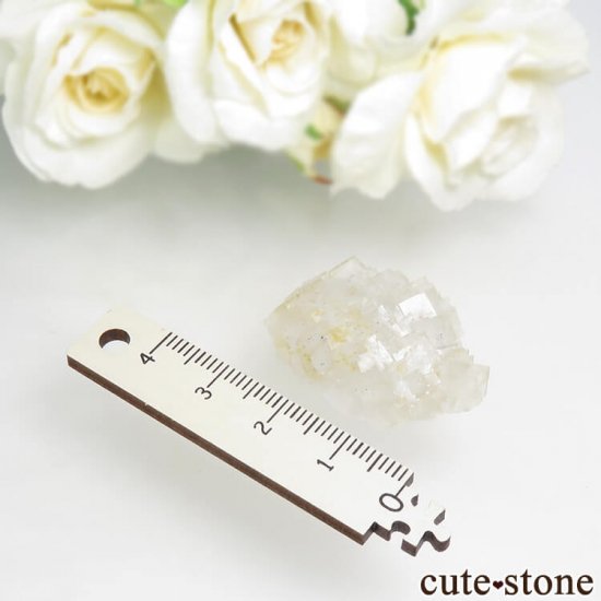 ե Fontsante Mine 饤ȥե饤Ȥη뾽ʸС8.2gμ̿4 cute stone