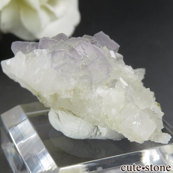 ե Fontsante Mine 饤ȥ֥롼ե饤ȡĤη뾽ʸС10gμ̿1 cute stone