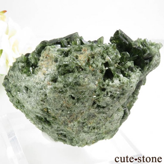 ѥ ɥ ץȤη뾽ʸС235gμ̿1 cute stone