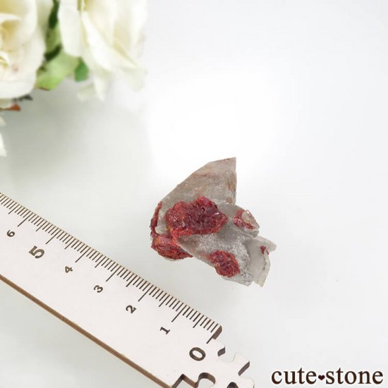 ²軺 ꥢ륬&륵Ȥη뾽() 17.4gμ̿4 cute stone