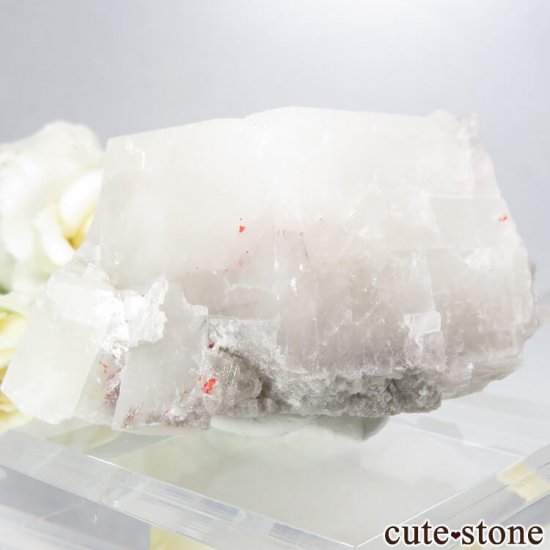 ²軺 ꥢ륬&륵Ȥη뾽() 154gμ̿0 cute stone