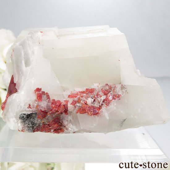 ²軺 ꥢ륬&륵Ȥη뾽() 154gμ̿1 cute stone