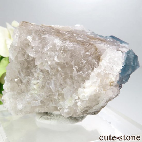 ˥塼ᥭ ֥롼ե饤&Ĥθ 123gμ̿0 cute stone
