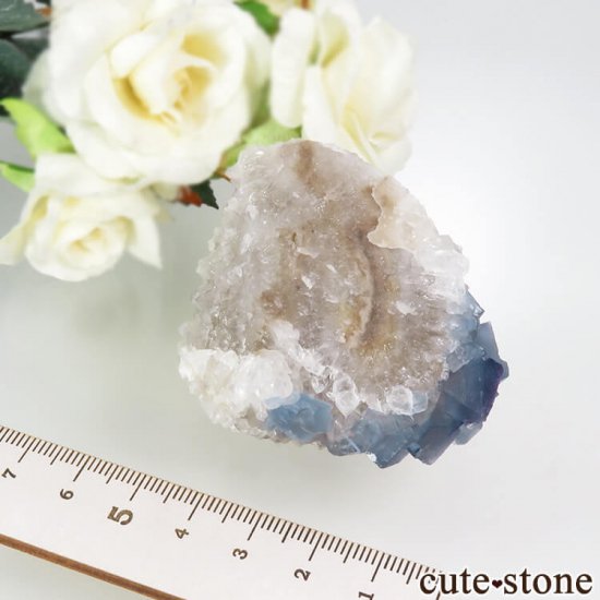˥塼ᥭ ֥롼ե饤&Ĥθ 123gμ̿4 cute stone