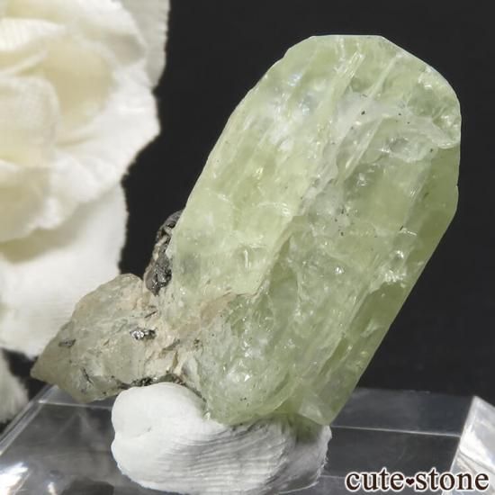 󥶥˥ ץȤη뾽ʸС6.2gμ̿1 cute stone