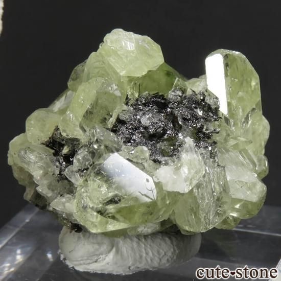 タンザニア産 ダイオプサイトの結晶(原石)10g - cute stone - タンザニア産 ダイオプサイトの結晶(原石)10g - cute stone -