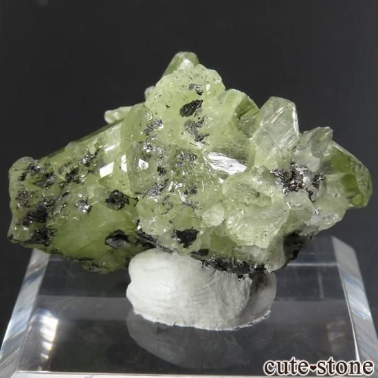 󥶥˥ ץȤη뾽ʸС10gμ̿1 cute stone