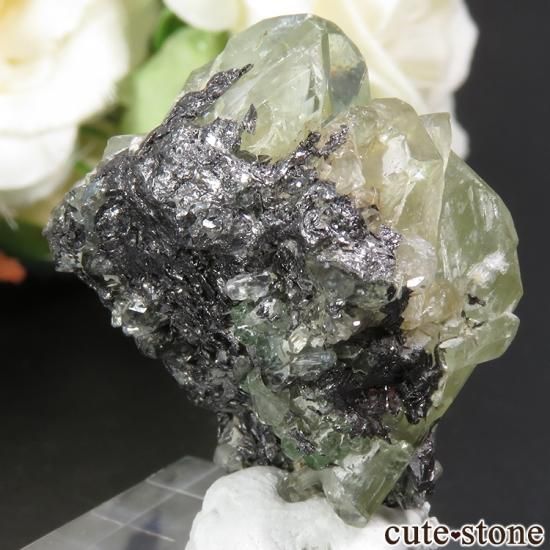 󥶥˥ ץȡĥܥ饤Ȥη뾽ʸС13.7gμ̿0 cute stone