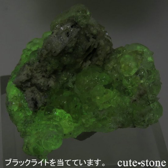 ʥߥӥ 󥴻 ϥ饤(ѡ)θ 9gμ̿3 cute stone