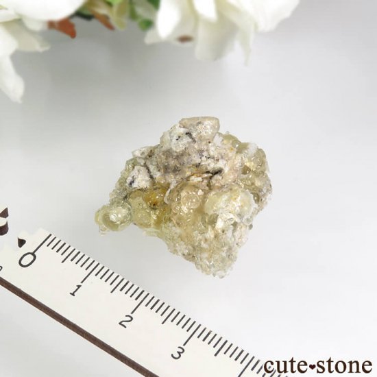 ʥߥӥ 󥴻 ϥ饤(ѡ)θ 9gμ̿4 cute stone