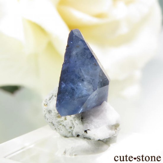 ե˥ ٥˥ȥȤդ뾽ʸС 0.5gμ̿0 cute stone