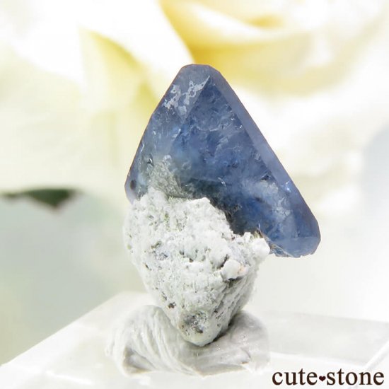 ե˥ ٥˥ȥȤդ뾽ʸС 0.5gμ̿1 cute stone