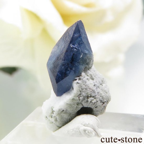 ե˥ ٥˥ȥȤդ뾽ʸС 0.5gμ̿2 cute stone