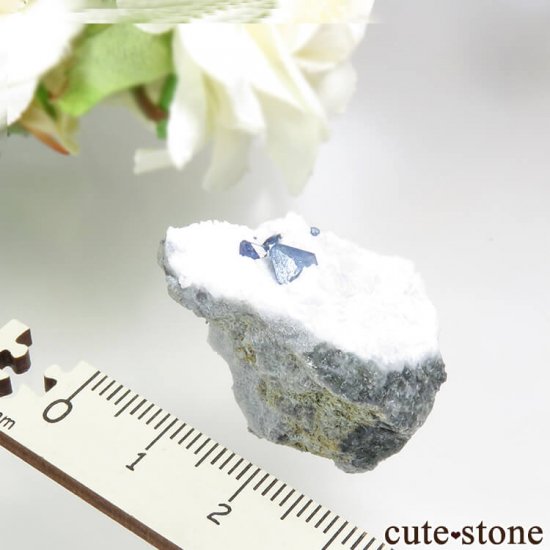 ե˥ ٥˥ȥȤդ뾽ʸС 10.2gμ̿4 cute stone