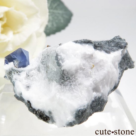 ե˥ ٥˥ȥȤդ뾽ʸС 8.4gμ̿1 cute stone