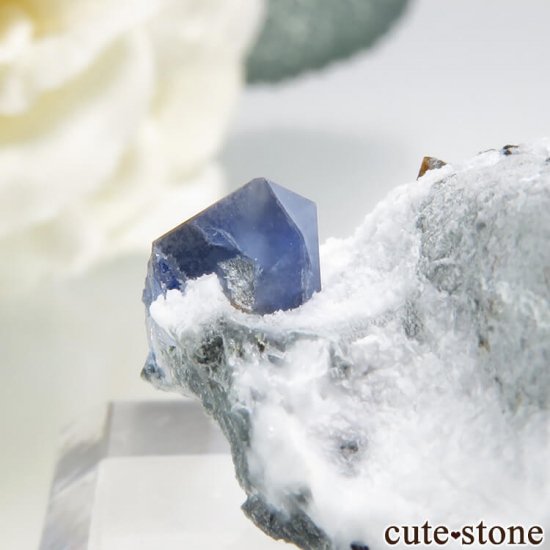 ե˥ ٥˥ȥȤդ뾽ʸС 8.4gμ̿4 cute stone