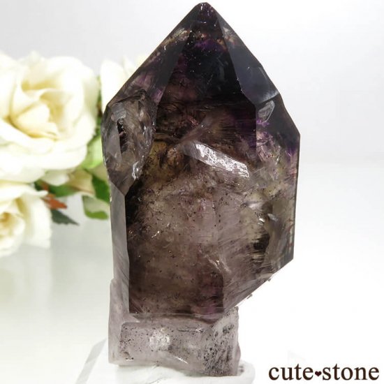 Х֥ ץ(᥸ȡ⡼)η뾽() 54.8gμ̿1 cute stone