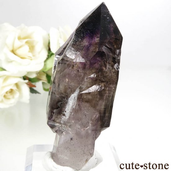 Х֥ ץ(᥸ȡ⡼)η뾽() 54.8gμ̿2 cute stone