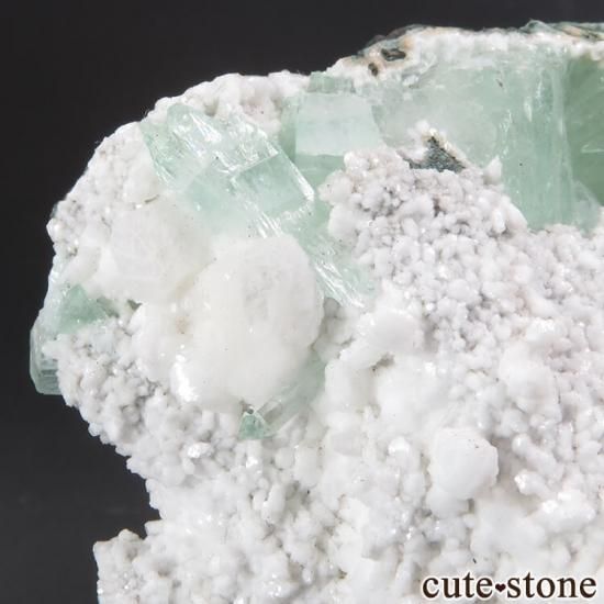  ץ͡ ꡼󥢥ݥե饤Ȥθ 144gμ̿1 cute stone