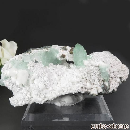  ץ͡ ꡼󥢥ݥե饤Ȥθ 144gμ̿3 cute stone