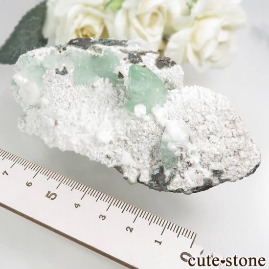  ץ͡ ꡼󥢥ݥե饤Ȥθ 144gμ̿6 cute stone