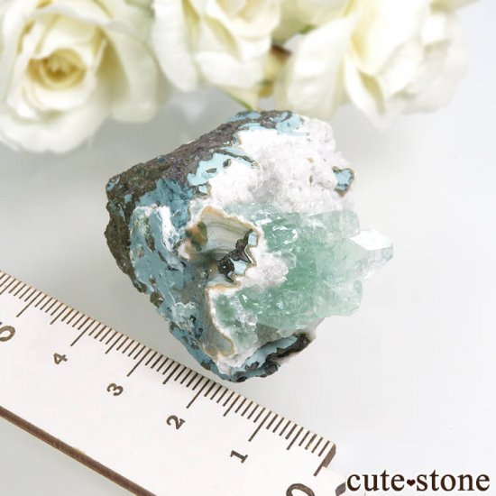  ץ͡ ꡼󥢥ݥե饤ȡƥХȤθ 43.4gμ̿4 cute stone
